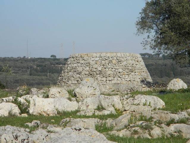 Terreno a Salve in Località Macchia Fersini-Primitivo - Foto 3