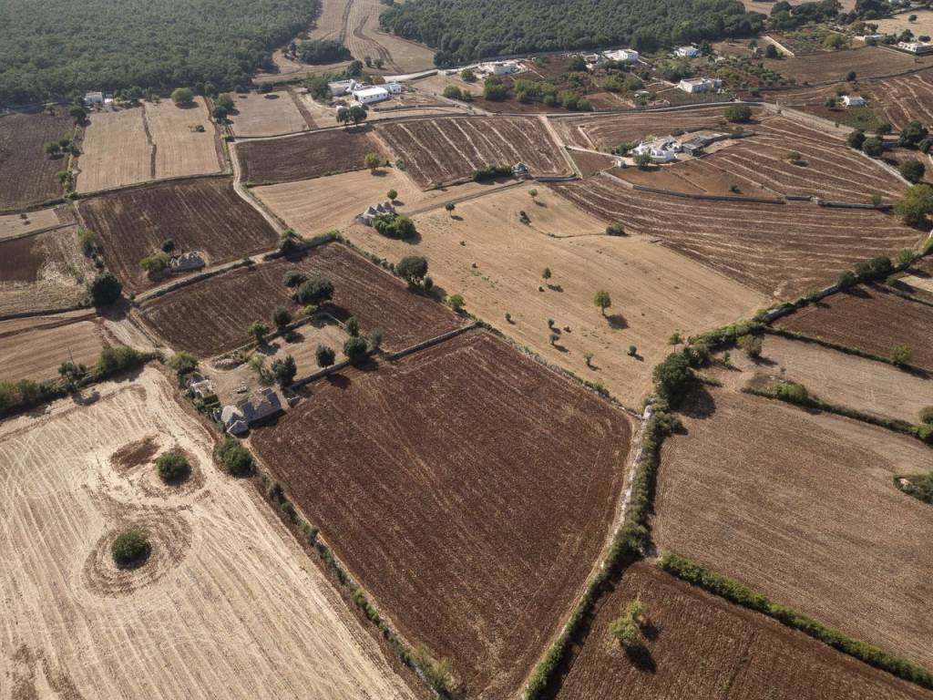 Rustico / casale a Martina franca in Strada Porcile Palesi Zona F - Foto 2