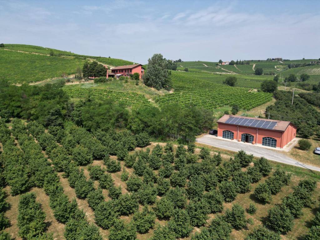 Terreno a Nizza monferrato - Foto 2
