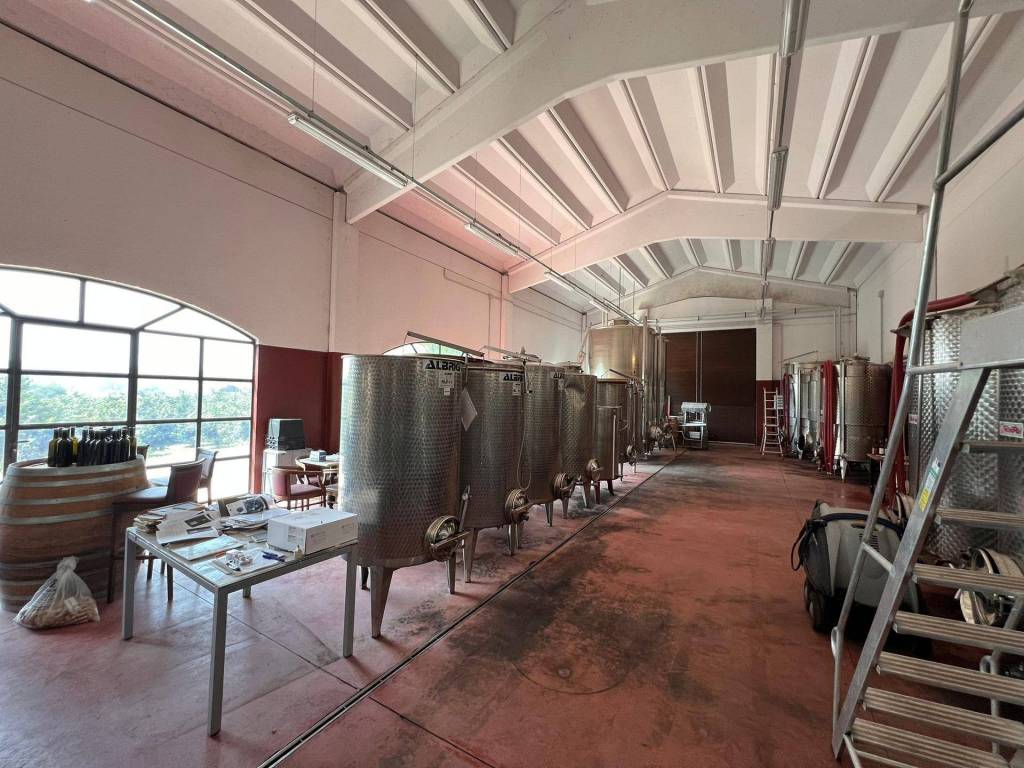 Terreno a Nizza monferrato - Foto 3