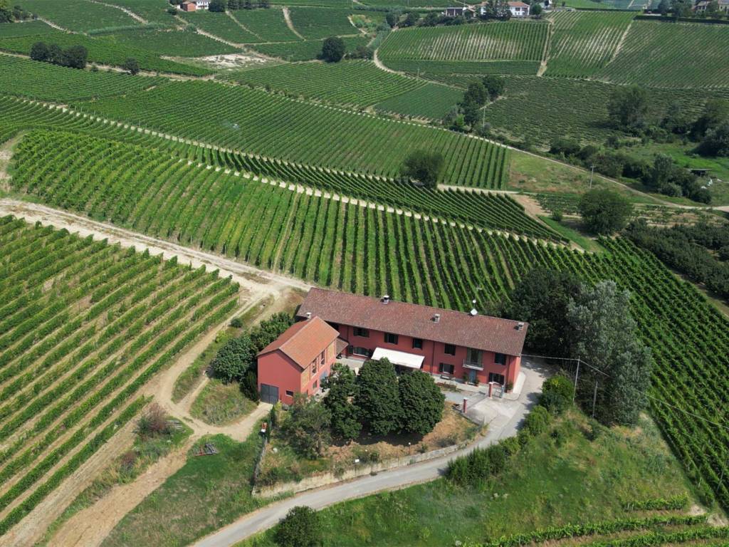 Terreno a Nizza monferrato - Foto 5