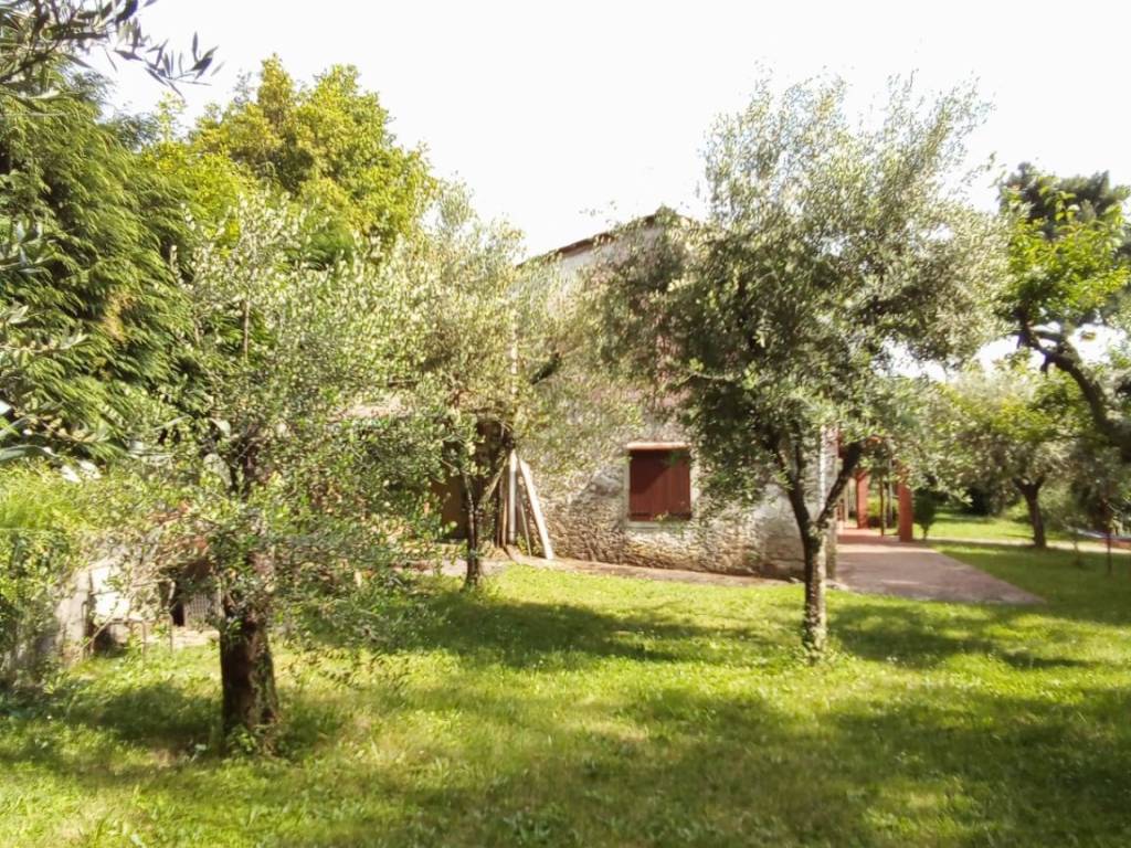 Rustico / casale a Massa e cozzile - Foto 5