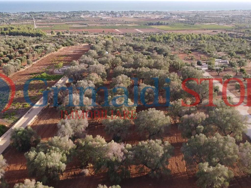 Terreno a Manduria in Via delle Scorcora, 70 - Foto 2