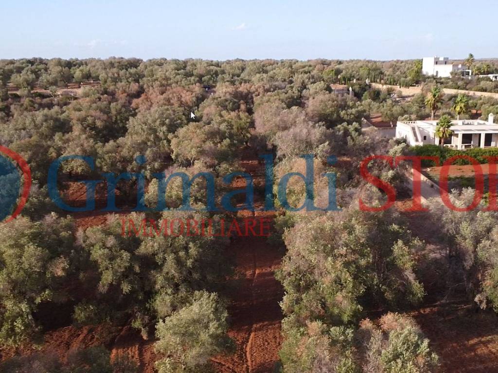 Terreno a Manduria in Via delle Scorcora, 70 - Foto 3