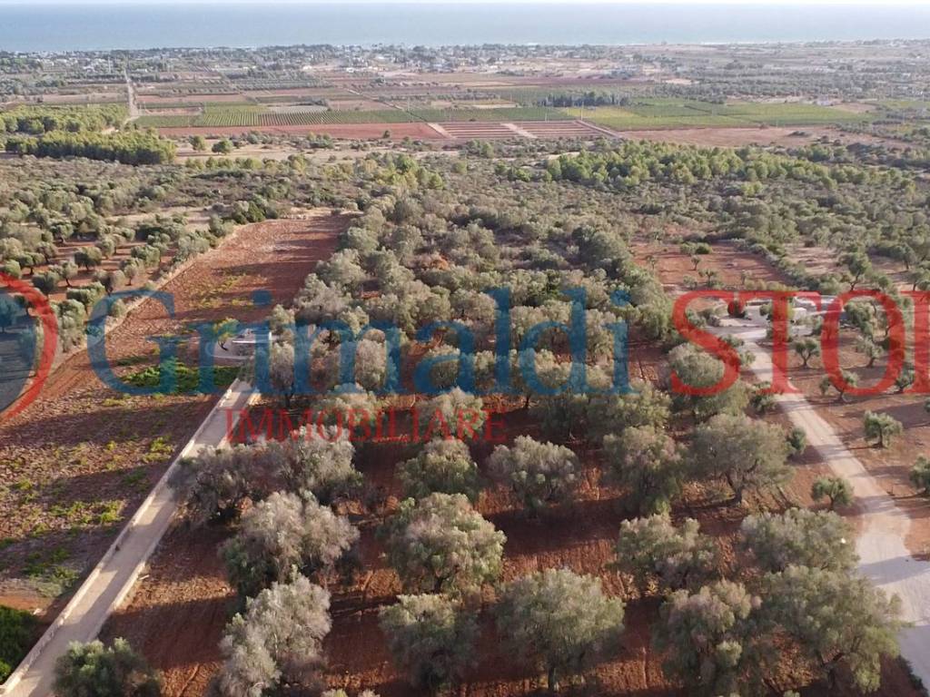 Terreno a Manduria in Via delle Scorcora, 70 - Foto 4