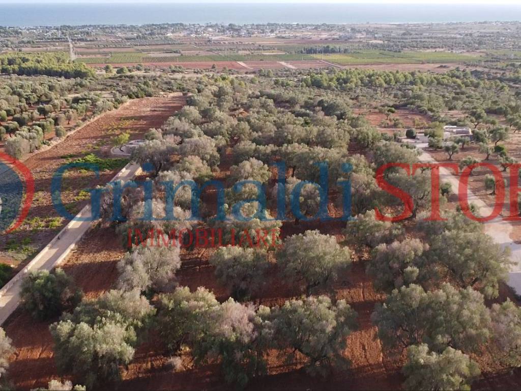 Terreno a Manduria in Via delle Scorcora, 70 - Foto 5