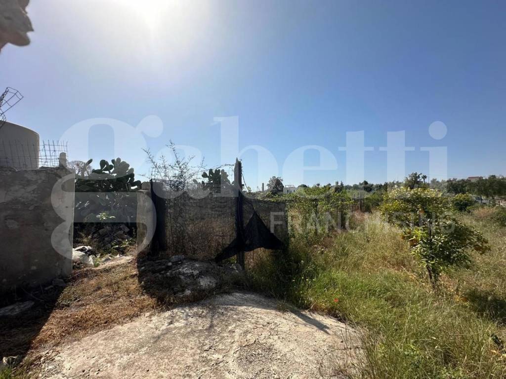 Terreno a Avola in contrada borgellusa - Foto 3