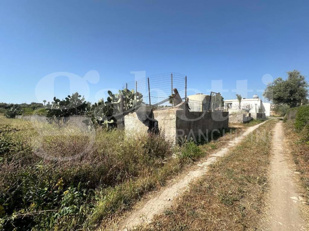 Terreno a Avola in contrada borgellusa - Foto 4
