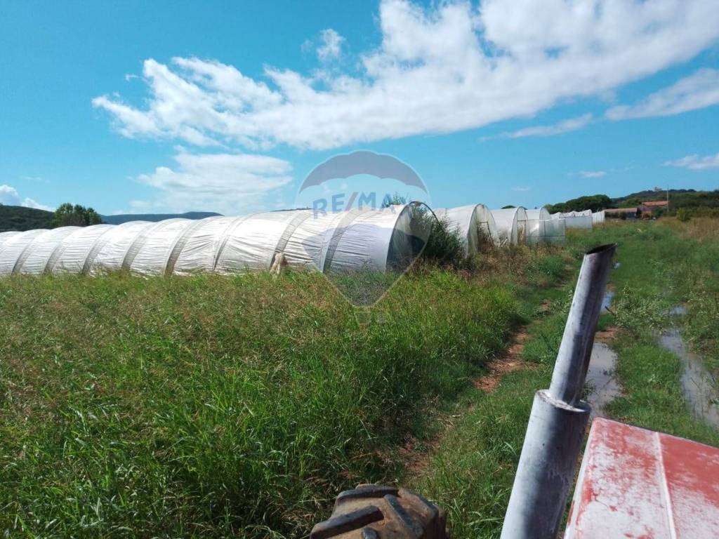 Terreno a Piombino in Località sant'albinia - Foto 3