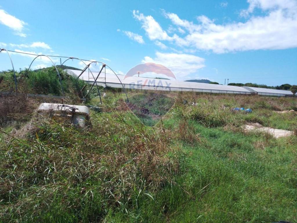 Terreno a Piombino in Località sant'albinia - Foto 4