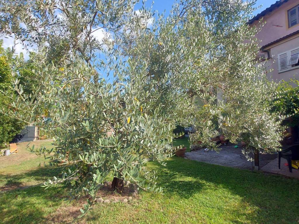 Villa a Borgo a mozzano - Foto 3