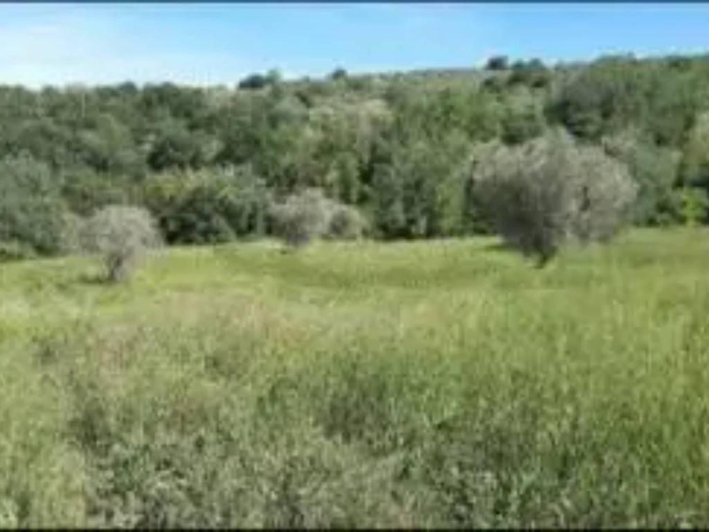 Rustico / casale a Teramo in SP - Foto 5
