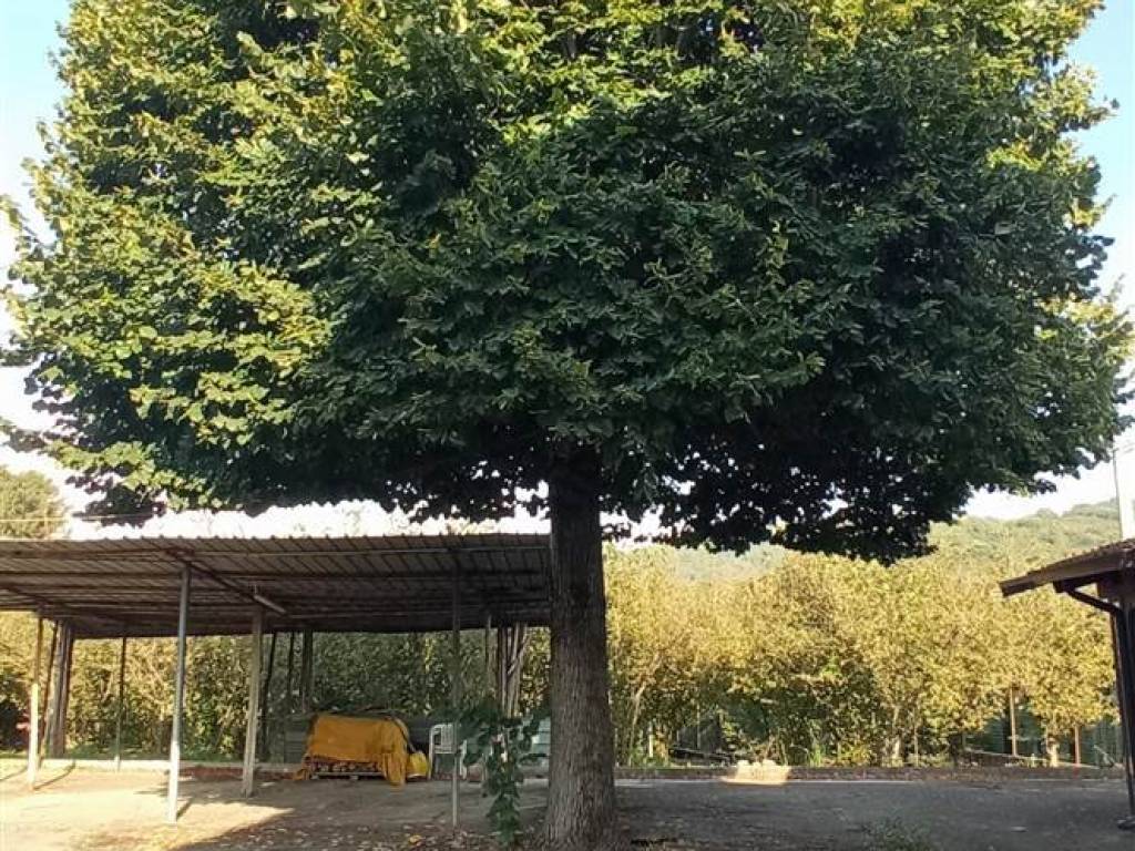 Villa a Avellino in Contrada Via Provinciale - Foto 4