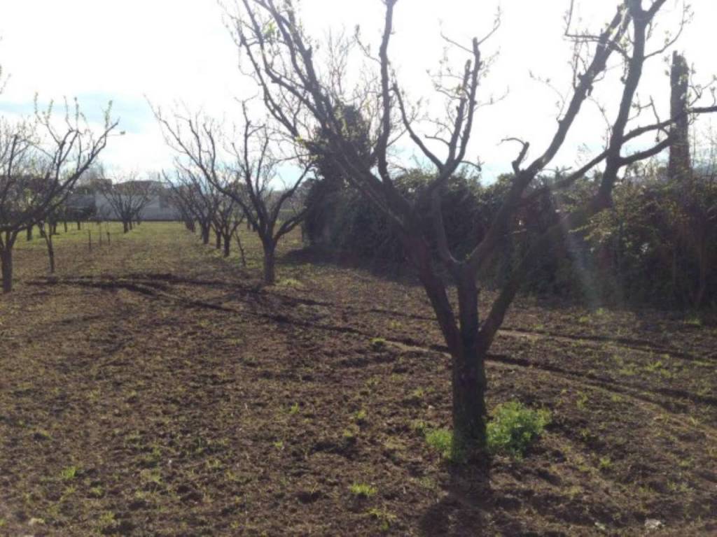 Terreno a Somma vesuviana in paradiso - Foto 2