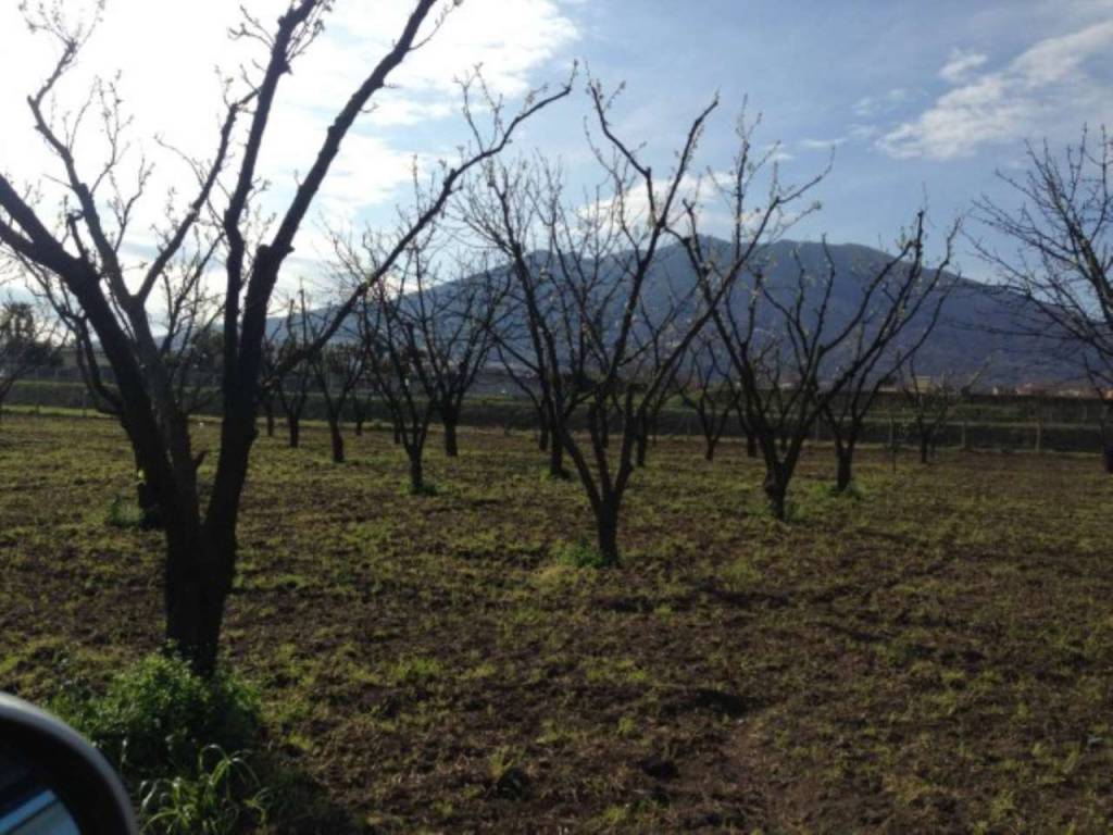 Terreno a Somma vesuviana in paradiso - Foto 3