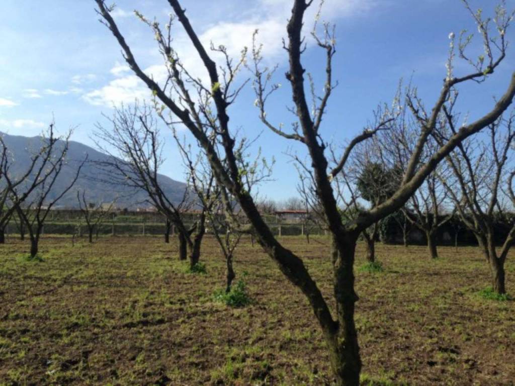 Terreno a Somma vesuviana in paradiso - Foto 4