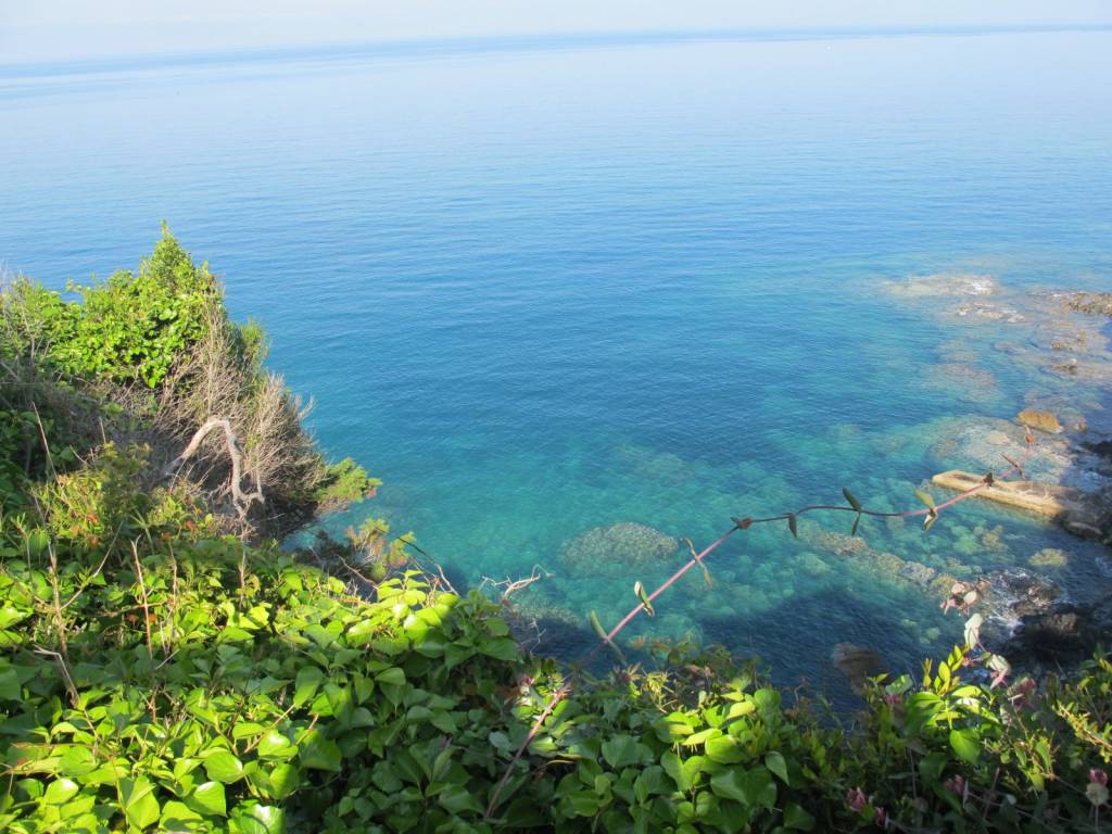 Villa a Isola del giglio - Foto 4