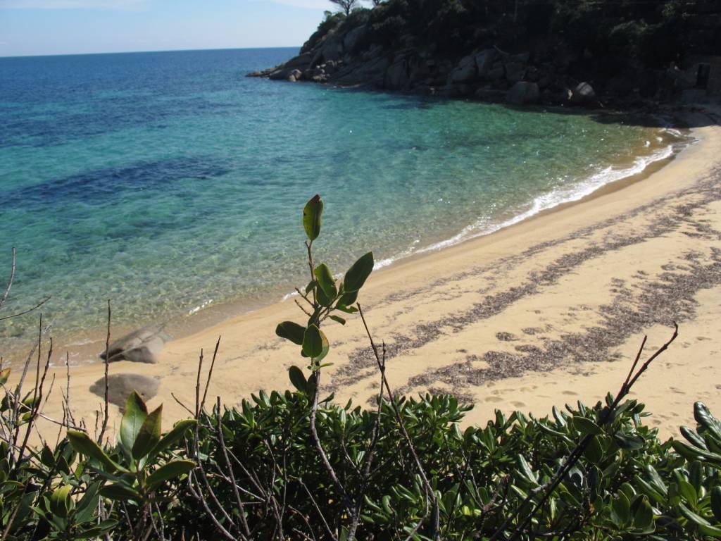 Villa a Isola del giglio - Foto 5