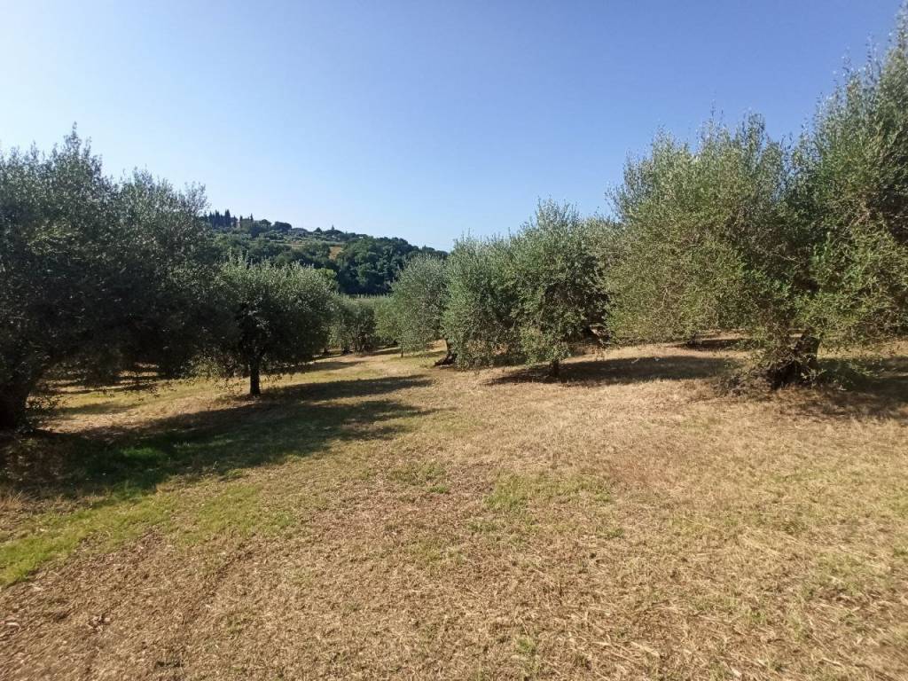 Terreno a Castiglione del lago in Strada Provinciale di Pozzuolo Tratto 2 - Foto 4