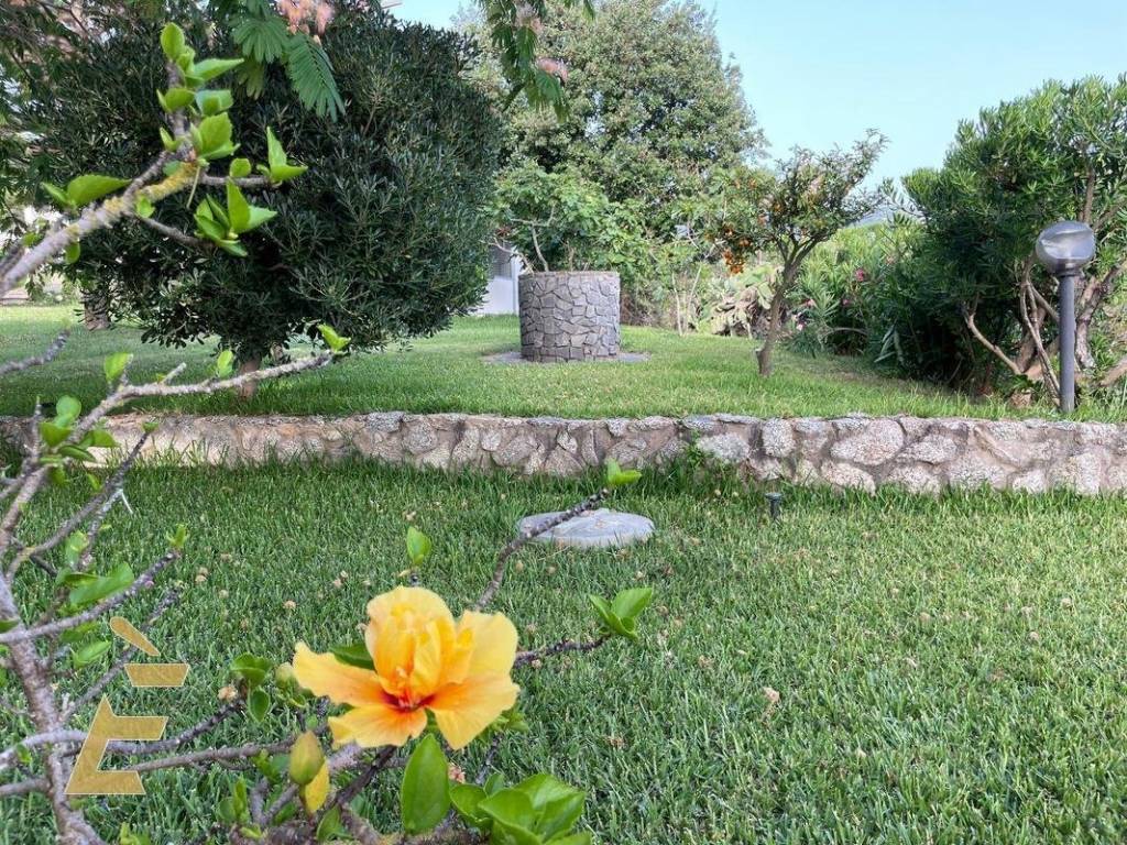 Villa a Ricadi in Via Ricciolina - Foto 5