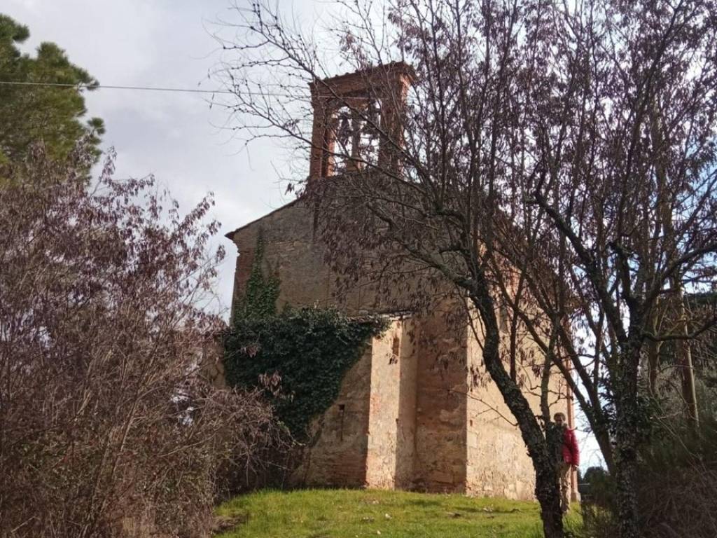 Rustico / casale a Siena in Strada di Castiglionalto - Foto 3