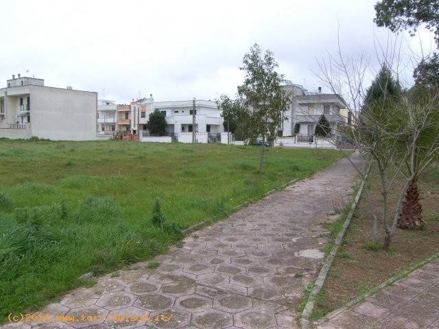Terreno a Presicce-acquarica in Via Molise - Foto 3