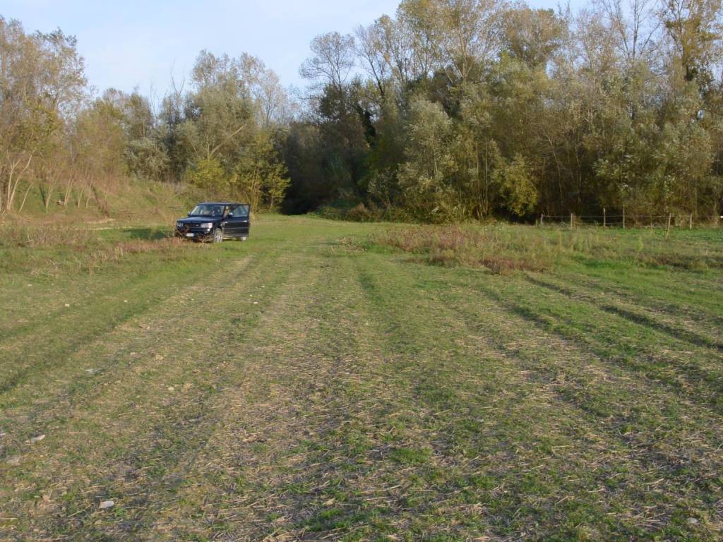 Terreno a Collecorvino in CONGIUNTI - Foto 3
