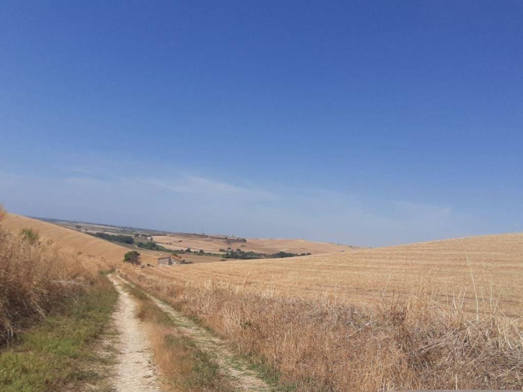 Rustico / casale a Tarquinia in Loc. Farnesiana, 01016 Tarquinia VT - Foto 4