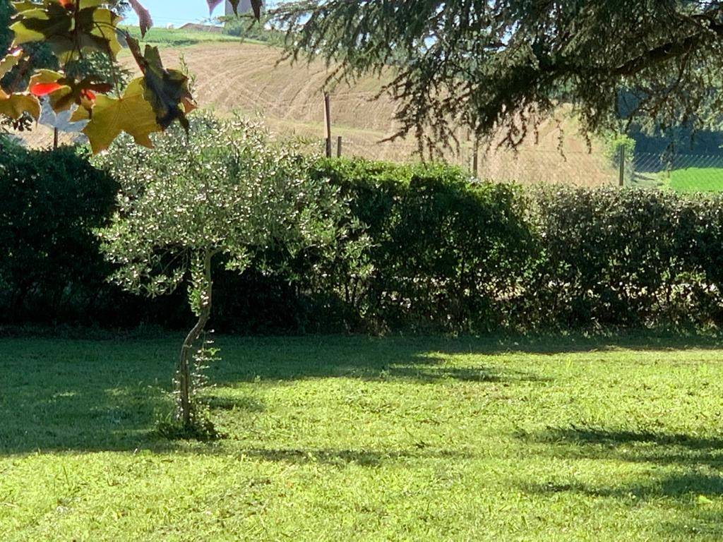 Villa a Castelvetro di modena - Foto 3