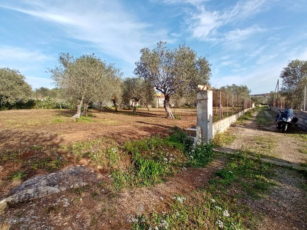 Terreno a Sassari in Strada Provinciale Sassari-Argentiera, 112 - Foto 2
