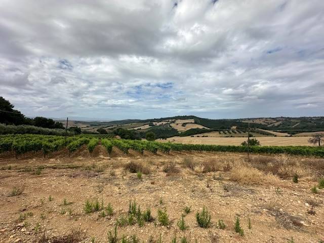 Rustico / casale a Magliano in toscana - Foto 2