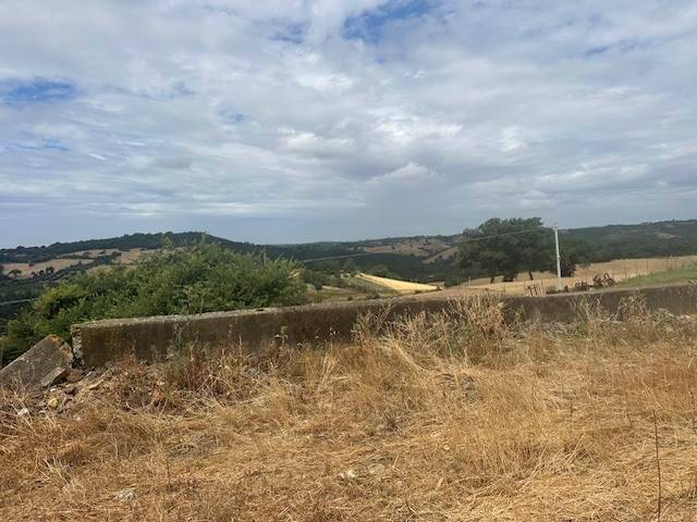 Rustico / casale a Magliano in toscana - Foto 4