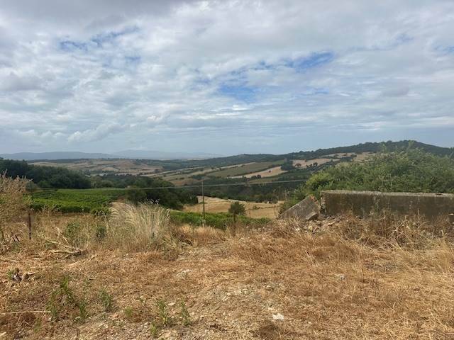 Rustico / casale a Magliano in toscana - Foto 5