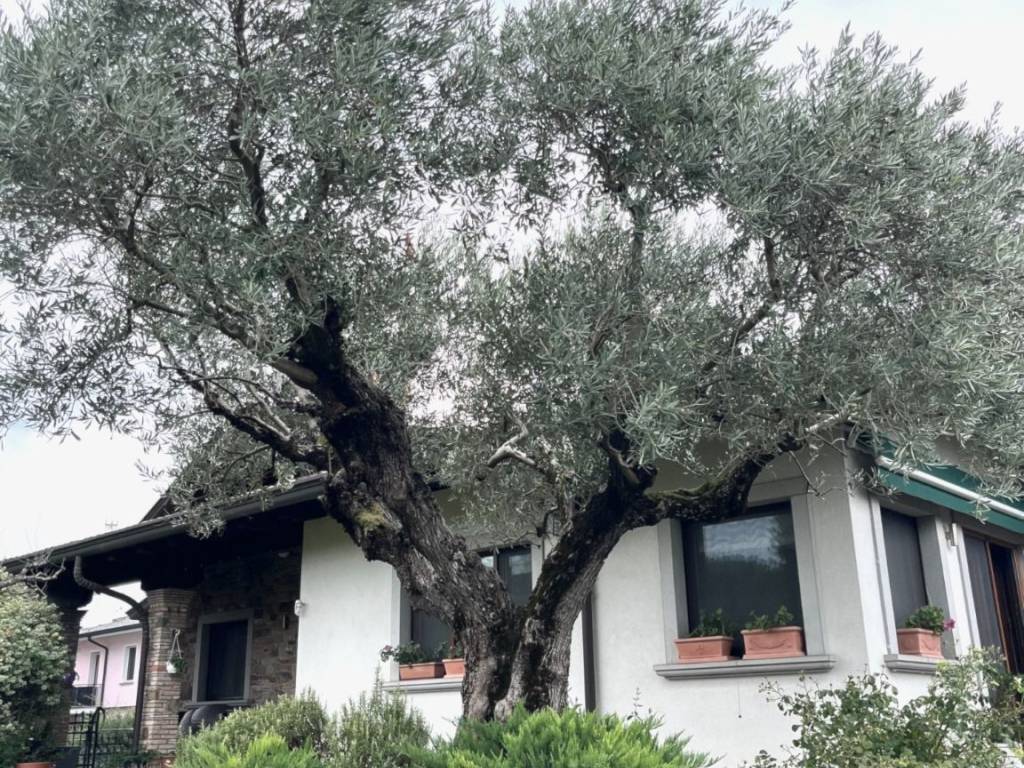 Villa a Staranzano - Foto 2