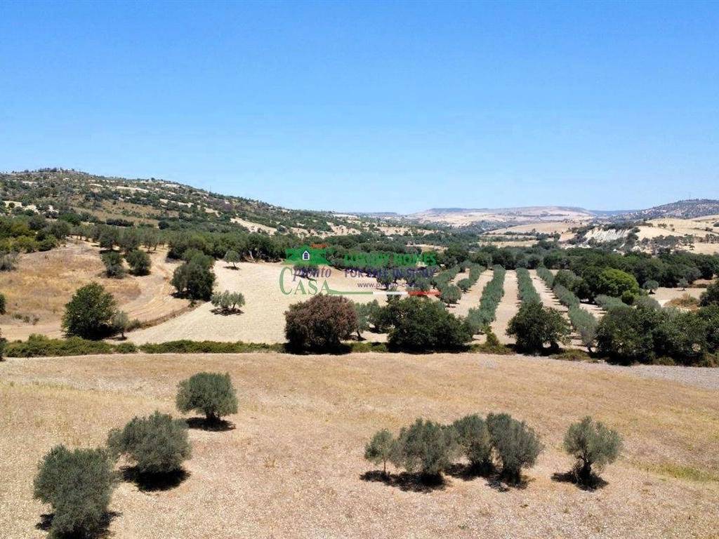 Rustico / casale a Ragusa in 2R2P+6V Ragusa RG, Italia - Foto 4