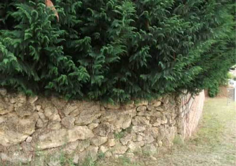 Terreno a Moncalvo in Corso 25 Aprile - Foto 2
