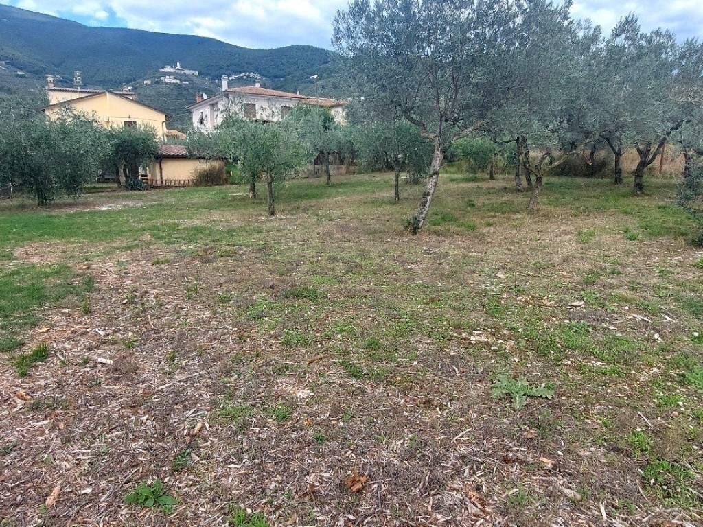 Terreno a Campello sul clitunno in Viale Trento e Trieste - Foto 2