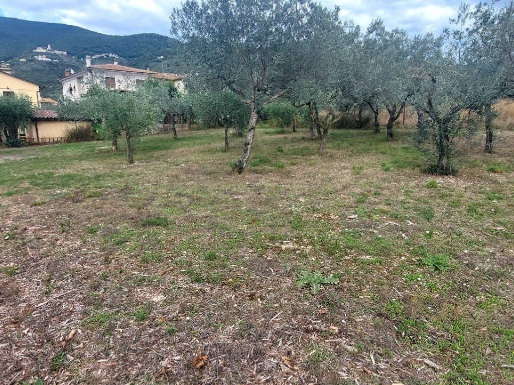 Terreno a Campello sul clitunno in Viale Trento e Trieste - Foto 3