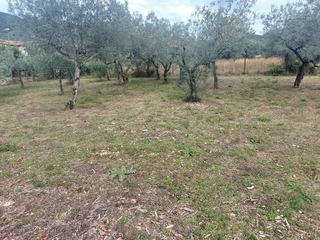 Terreno a Campello sul clitunno in Viale Trento e Trieste - Foto 5