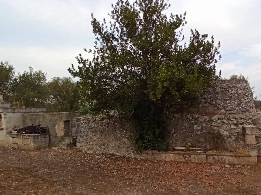 Rustico / casale a Francavilla fontana in Contrada Grappone - Foto 2