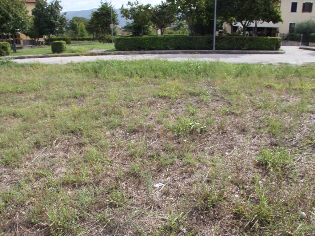 Terreno a Spoleto in Località Pontebari - Foto 5