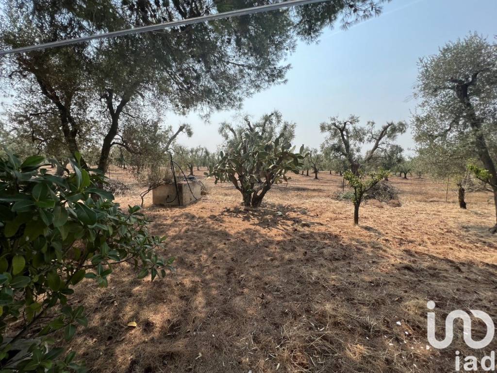 Villa a Francavilla fontana in LocalitÃ Cda Don Giulio - Foto 5