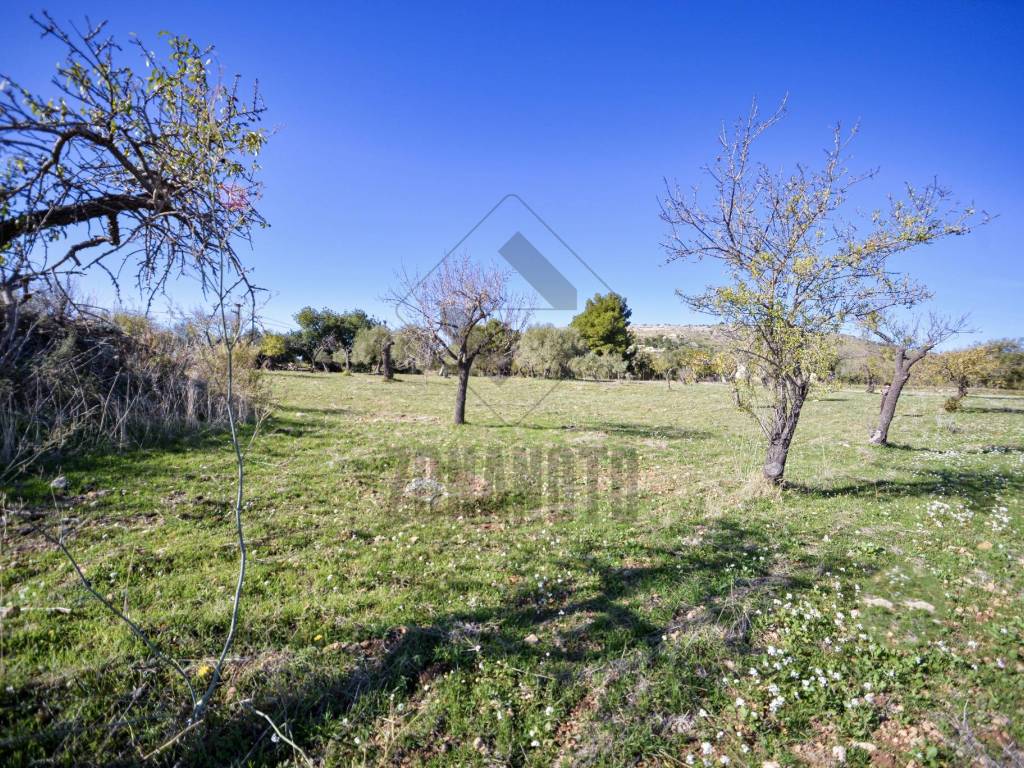 Terreno a Noto in Strada Provinciale Palazzolo-Testa dell'Acqua-Noto - Foto 4
