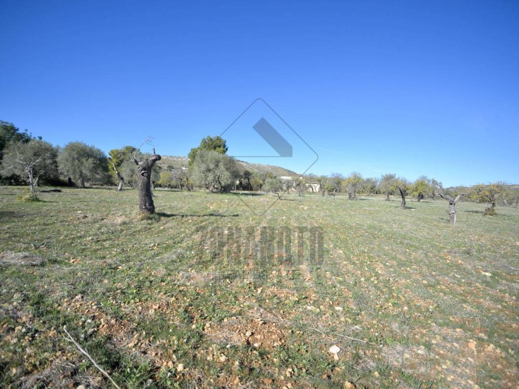 Terreno a Noto in Strada Provinciale Palazzolo-Testa dell'Acqua-Noto - Foto 5