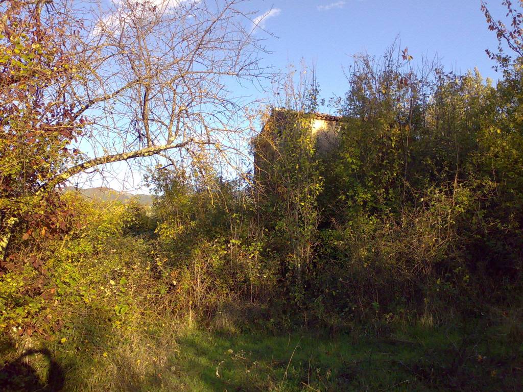 Rustico / casale a Alatri in Via del Cosciano - Foto 3