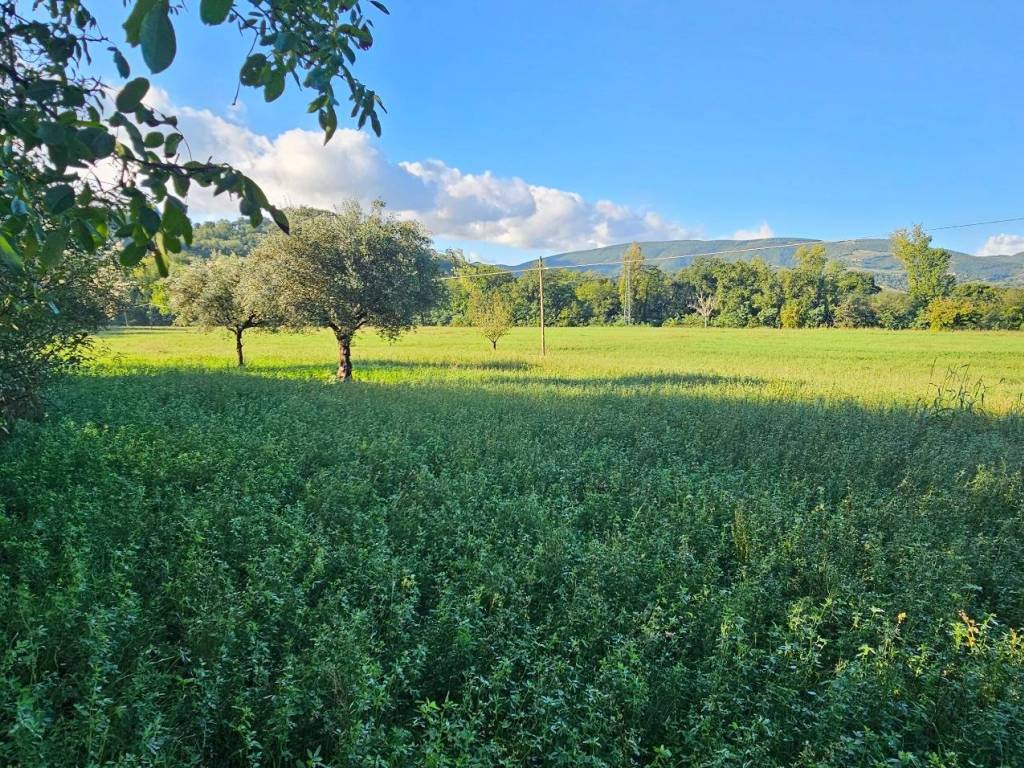 Casa indipendente a San severino marche - Foto 3