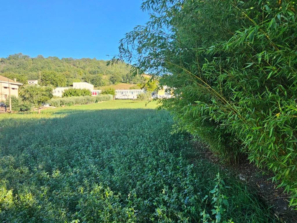 Casa indipendente a San severino marche - Foto 4