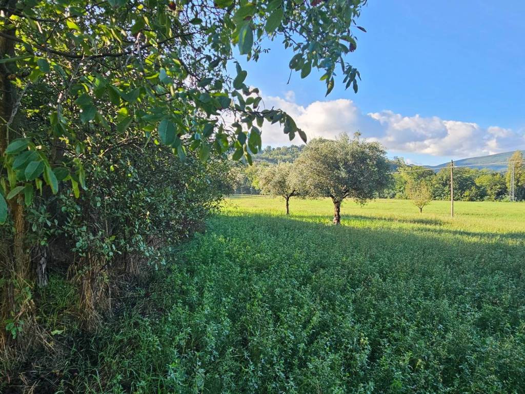 Casa indipendente a San severino marche - Foto 5