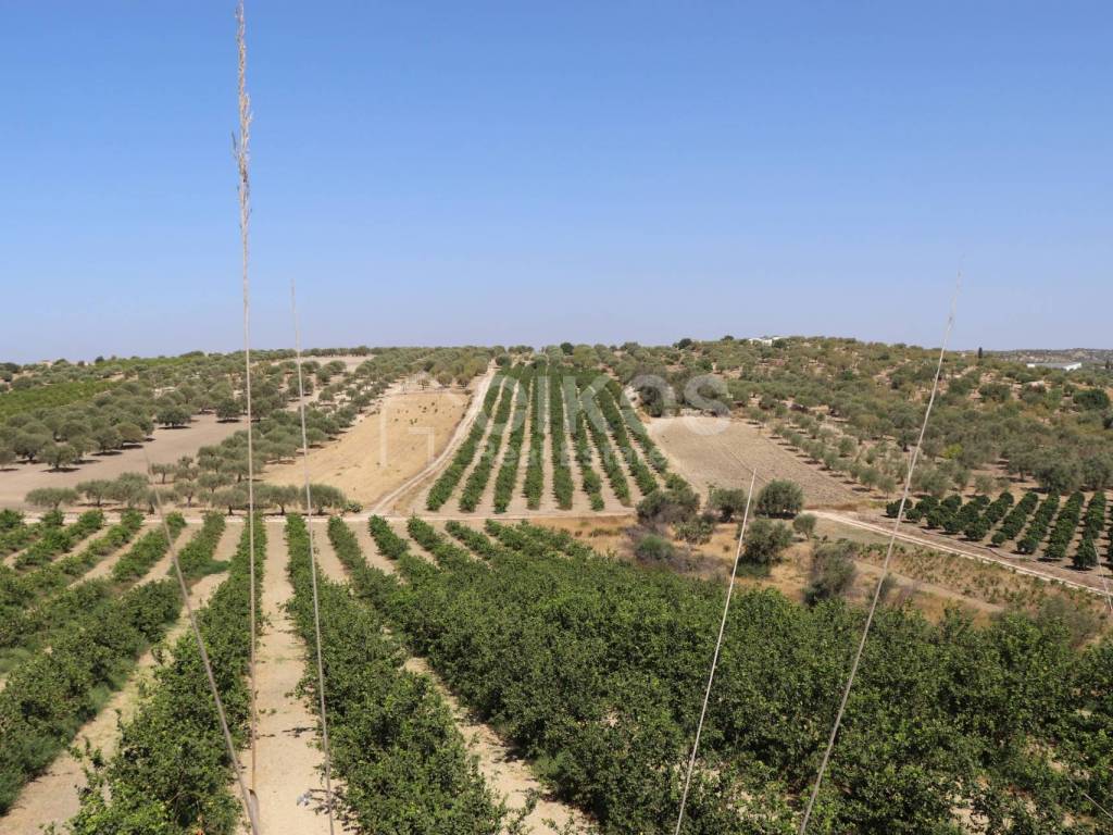 Terreno a Noto in C.da Bommiscuro - Foto 2