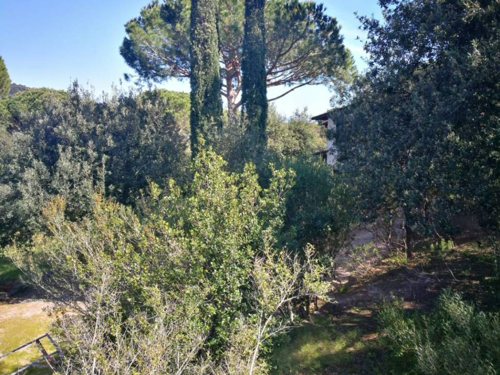 Villa a Castiglione della pescaia in Viale Toscana - Foto 3